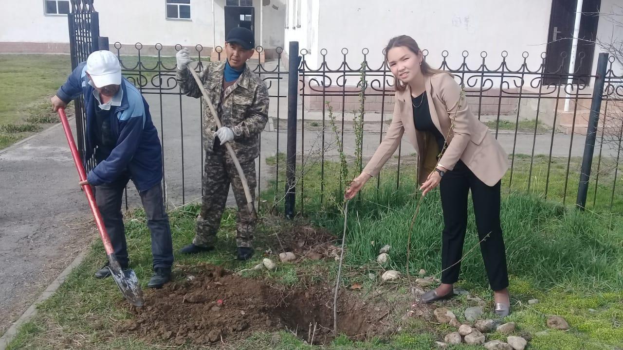 Мектеп мұғалімдері мен оқушылардың сенбілігі