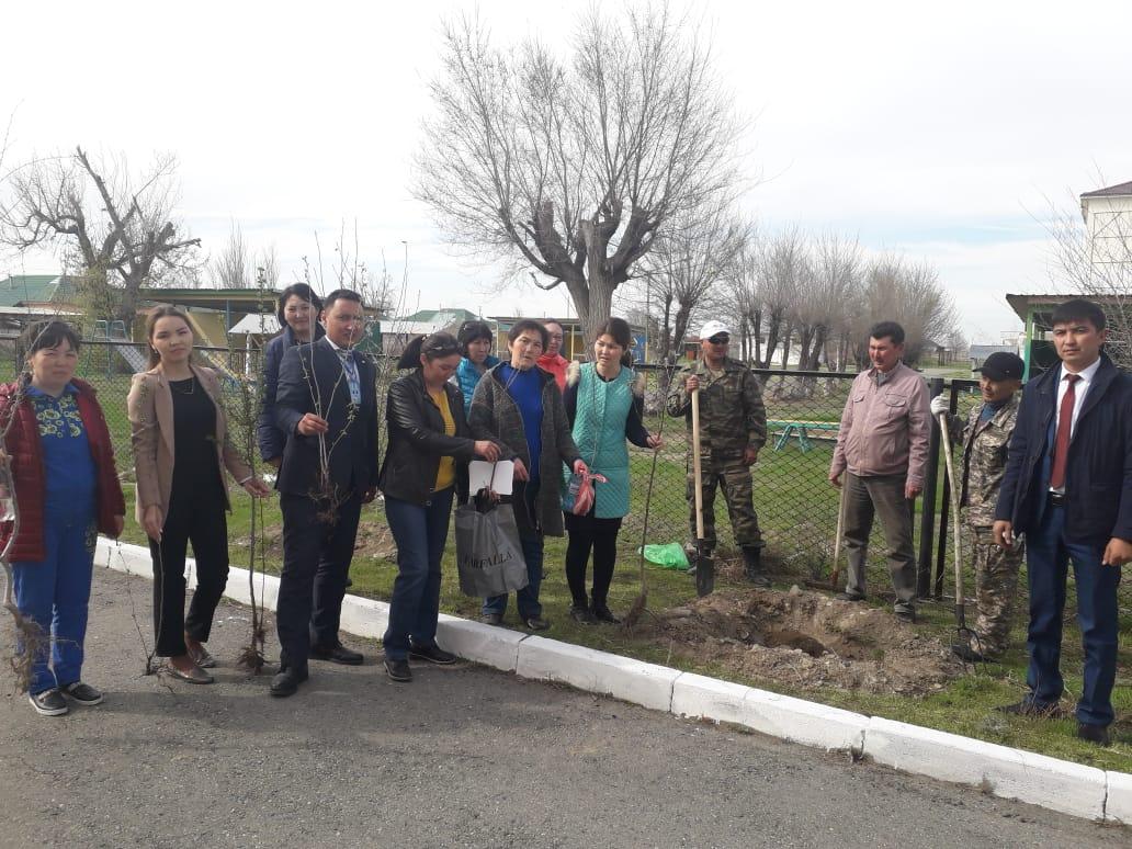 Мектеп мұғалімдері мен оқушылардың сенбілігі