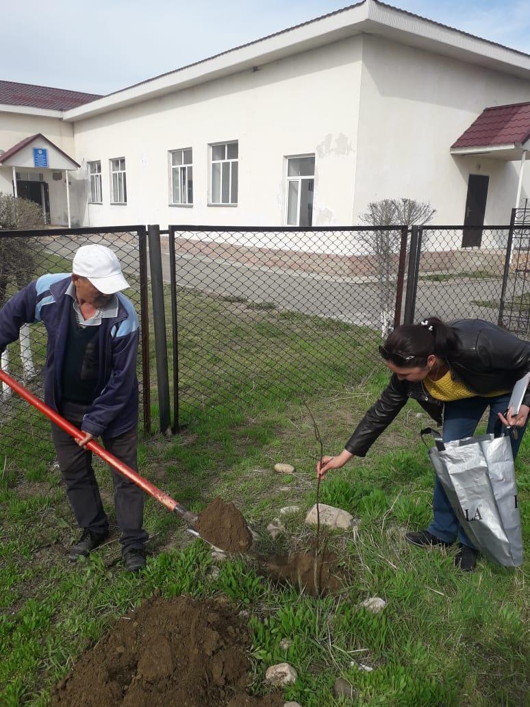 Мектеп мұғалімдері мен оқушылардың сенбілігі