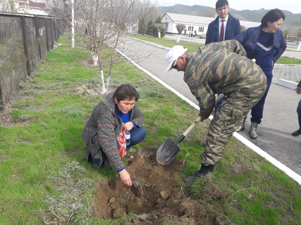 Мектеп мұғалімдері мен оқушылардың сенбілігі