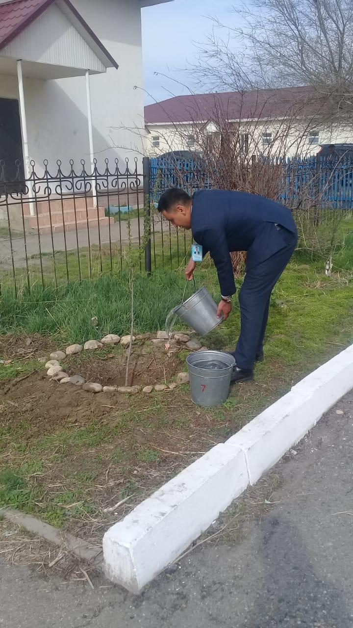 Мектеп мұғалімдері мен оқушылардың сенбілігі