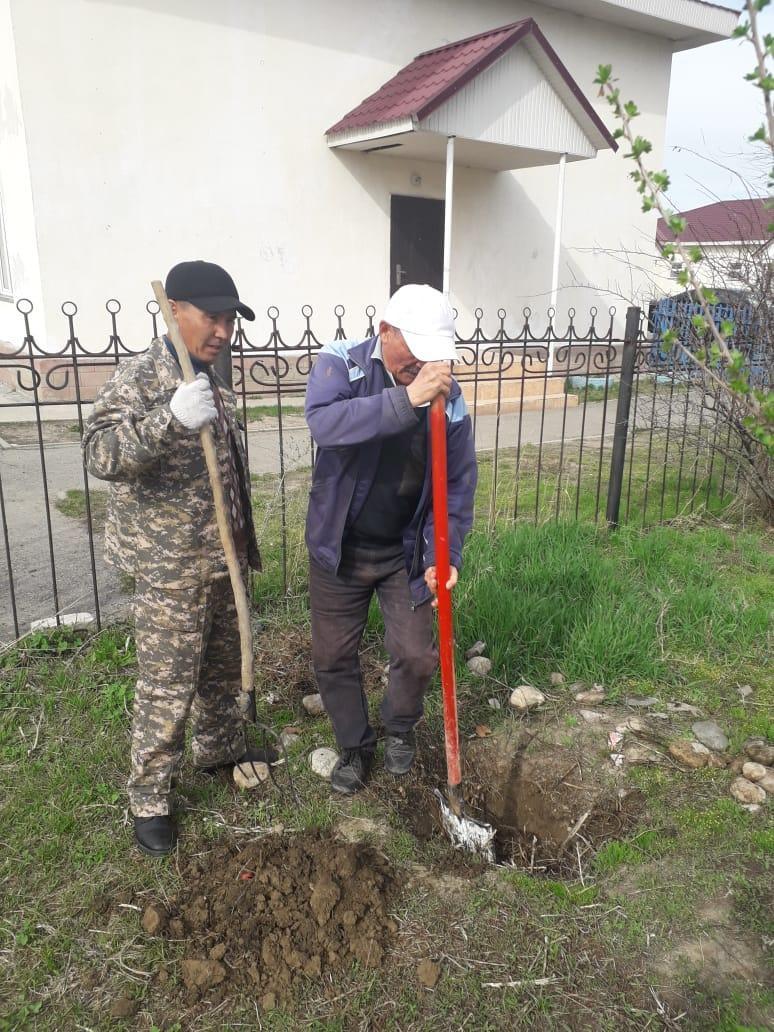 Мектеп мұғалімдері мен оқушылардың сенбілігі