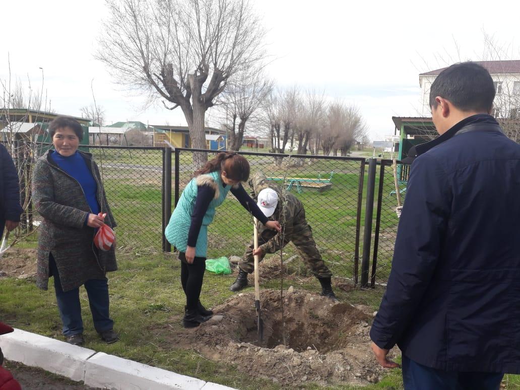 Мектеп мұғалімдері мен оқушылардың сенбілігі