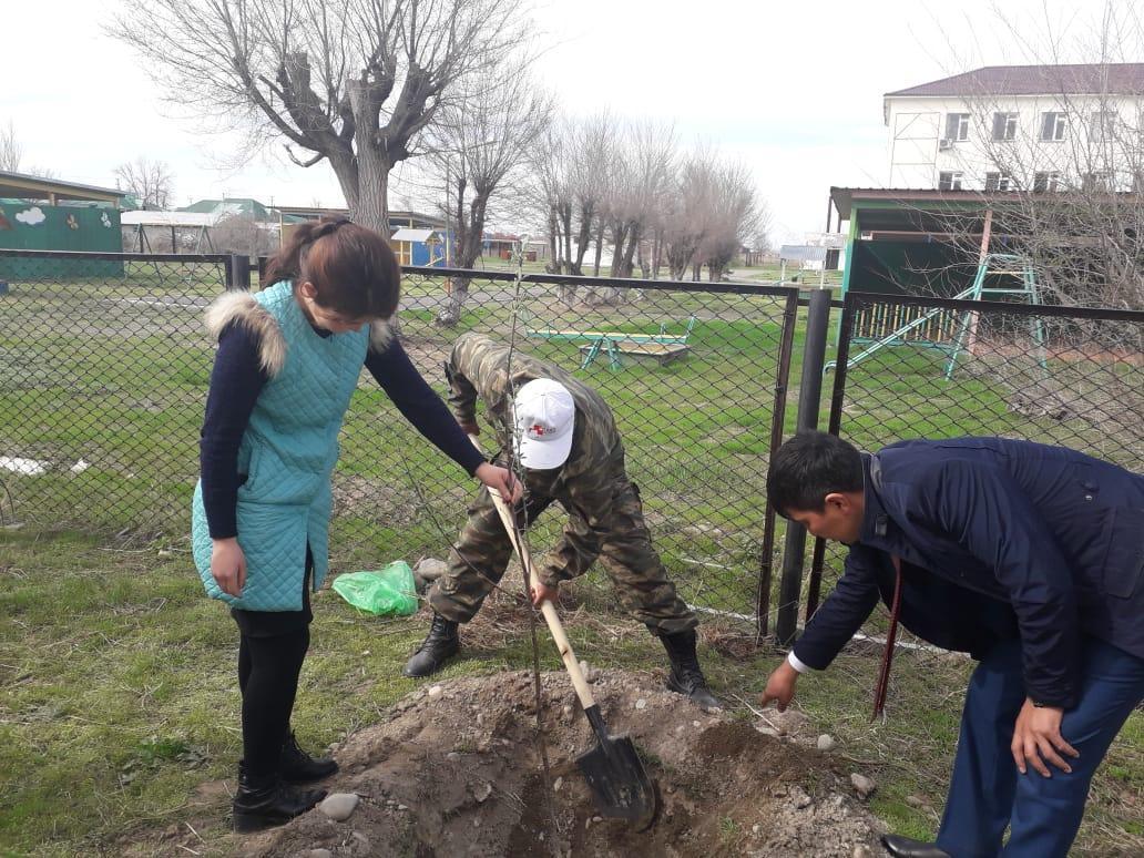 Мектеп мұғалімдері мен оқушылардың сенбілігі